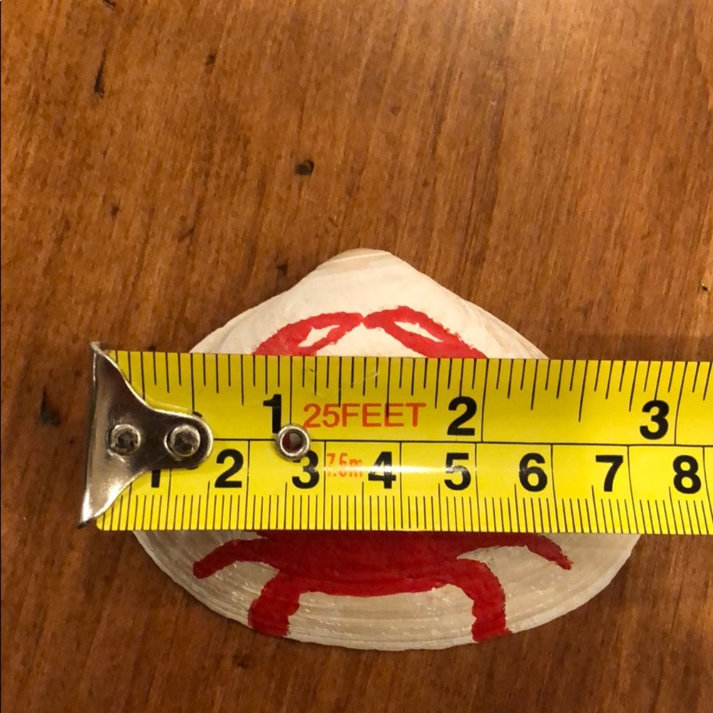 Hand painted shell - Picture 2 of 3